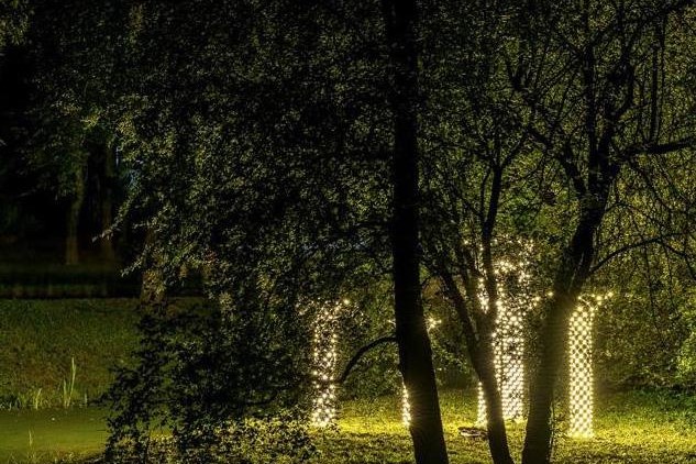 Гигантские световые цветы на фестивале в Гатчине!